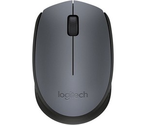 Logitech M170