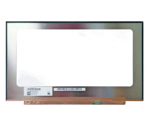 Kompatibilni zaslon N173HCE-E3C Rev. C1