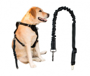 Varnostni pas za prevoz malih živali