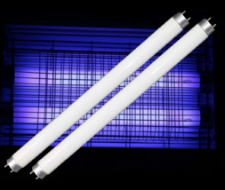 UV Fluorescentna žarnica BL za insekte T5 F8W 288mm