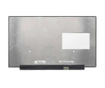 Zaslon za NE173FHM-NZ6 17.3